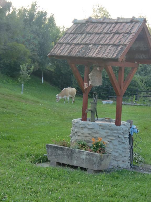 Pensiunea Arpasel Arpaşu de Sus Exterior foto